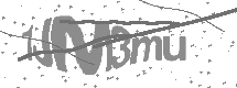visual captcha